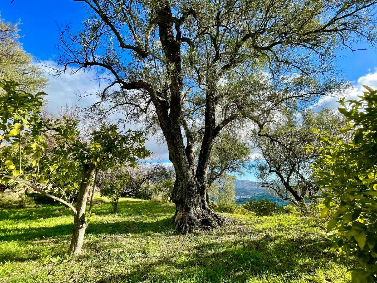 La Esperanza Granada Luxury Hacienda & Private Villa Saleres Eksteriør billede