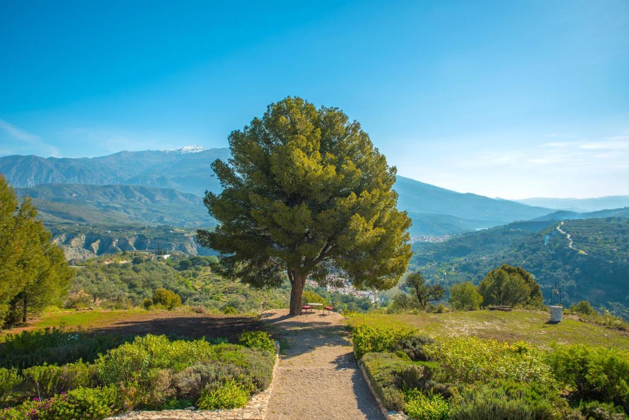 La Esperanza Granada Luxury Hacienda & Private Villa Saleres Eksteriør billede